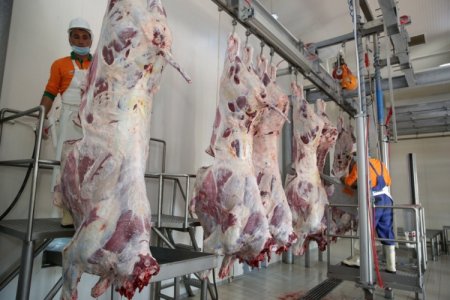 ﻿ “Bu idarəetmə ilə qiymətlər sabit qala bilməz” – Bahalaşmayan bir ət qalmışdı…