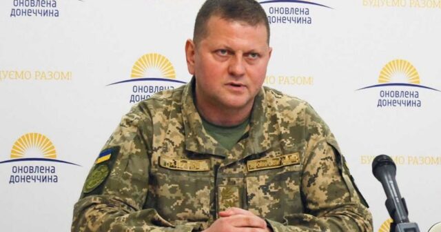 Baş komandan: “Ukrayna Silahlı Qüvvələri əks-hücuma keçir”