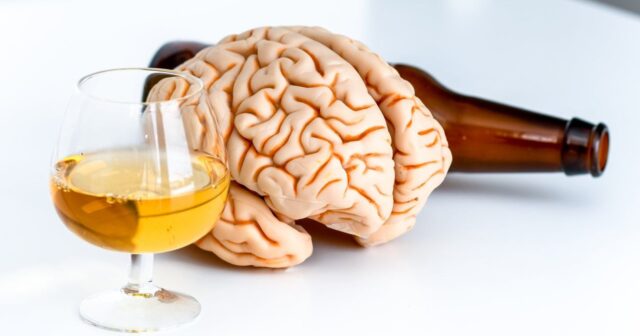 Hər gün alkoqol içmək beynin həcmini 20% azaldır – ALİMLƏR