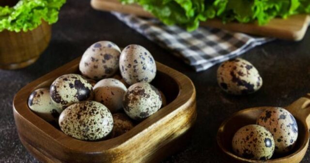 Bildirçin yumurtası yeməyin faydaları