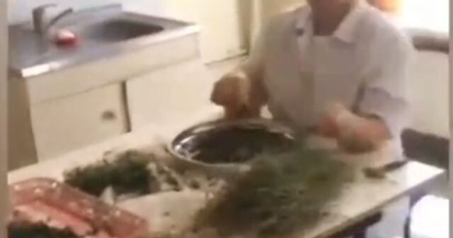 Bərdə xəstəxanasında göyərti bazarı – Biabırçı VİDEO