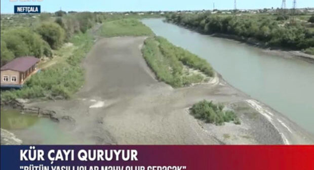 Kür çayı quruyur: Heyvanlar, ağaclar məhv olur – VİDEO