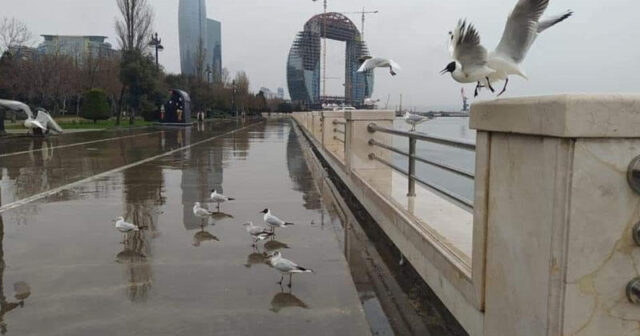 Güclü külək əsəcək, temperatur 5-8 dərəcə aşağı enəcək – PROQNOZ