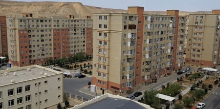 ““Qobu Park”da itlər camaatı basıb yeyirlər” – VİDEO