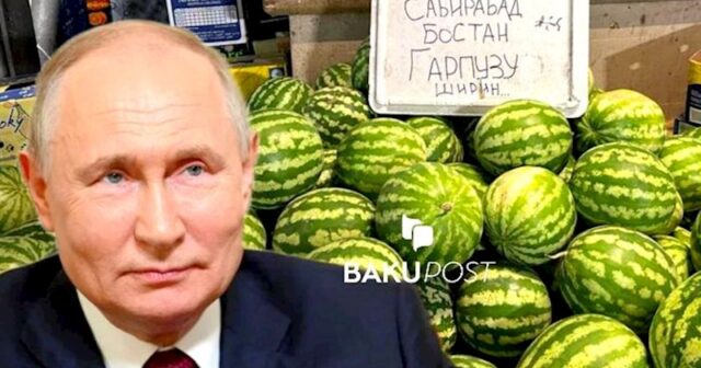 Bakıda Putinə göndərilən xüsusi qarpız: Kilosu 3 manata… — FOTO