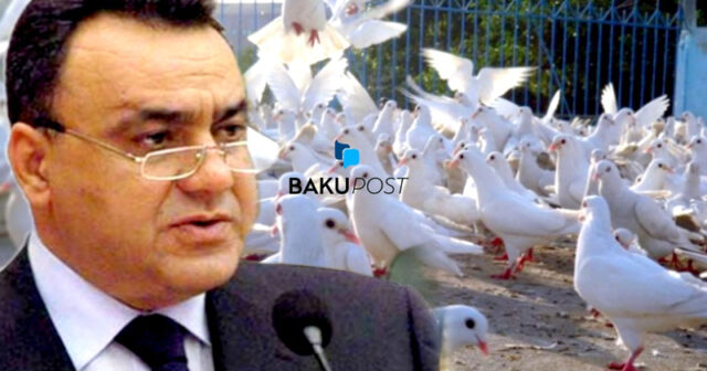 Sabiq nazir Heydər Babayevin qəribə videosu – Mənim gözümə yatan quş yoxdursa… – VİDEO