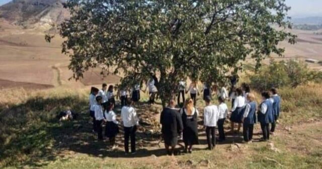 “Dilək ağacı”nın ətrafında çəkilən şəkilə görə direktor cəzalandırıldı – FOTO