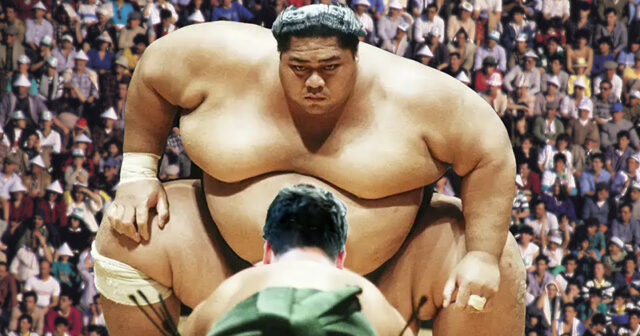 Sumo: Yaponiyanın ikonik idmanı – Onlar yatanda niyə oksigen maskası taxırlar?