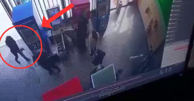 “Bravo”ya silahlı hücum planı belə qurulub – İlk dəfə açıqlandı