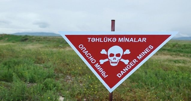 Azərbaycanda minatəmizləmə işlərinə siçovullar cəlb olunub