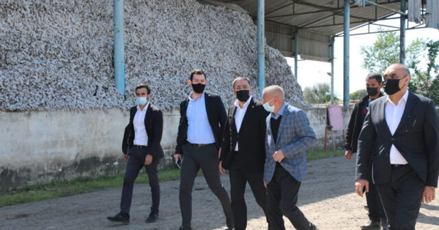Azərbaycanda 800 min manatlıq pambıq yoxa çıxıb: “Palçığın içində…”