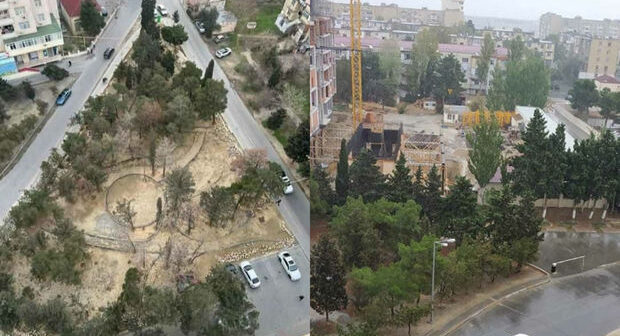 Bakıda parkda yaşıllıqları qurudub restoran tikmək istədilər – FOTO/VİDEO