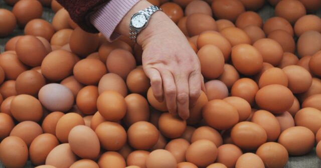 ÖLKƏDƏ YUMURTA QITLIĞI YAŞANIR… – SƏBƏB