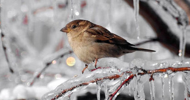 Hava bu tarixdən kəskin dəyişəcək – Temperatur 3-6 dərəcə enəcək