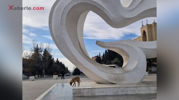 Sumqayıtın “Sülh göyərçini”sahibsiz itlərin əsirinə çevrilib – Fotolar