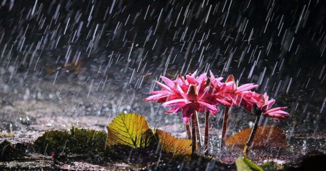 Yağıntılı hava şəraiti nə vaxtadək davam edəcək?