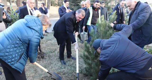 Xətaidə ağacəkmə aksiyası keçirilib