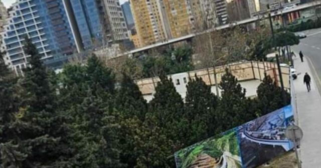 LALƏ PARKI HASARLANDI, AĞACLAR KƏSİLDİ – FOTO