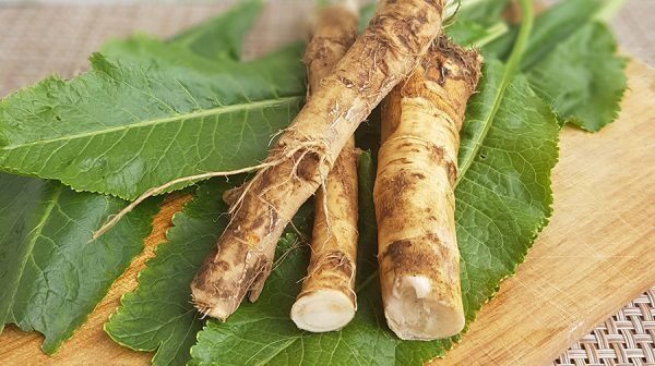 Tərkibində uzunömürlük vitamini olan bitki açıqlandı