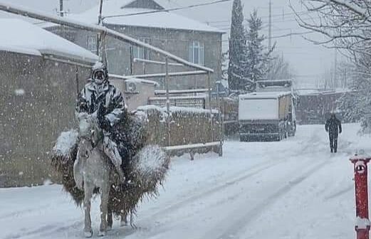 Bir axşam atdan düşüb… Bakıdan qəribə görüntü – Foto