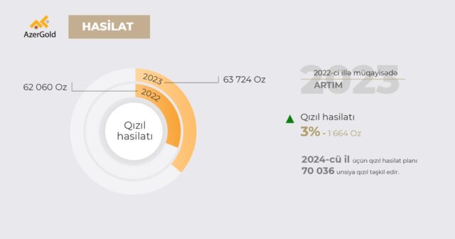 “AzerGold” QSC 2023-cü ildə hasilatı artırıb