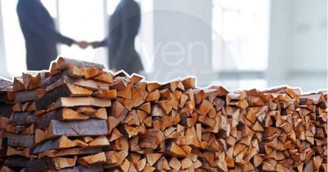Tender elanından 14 gün əvvəl yaranan şirkət indi də odun satır – Təfərrüat