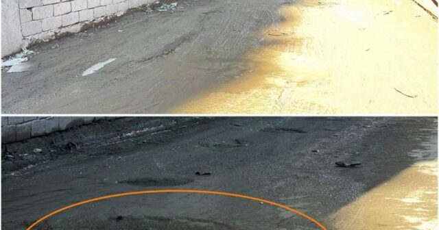 “Şərur” MTK bu yolları bərbad hala salıb – Şikayət, Foto