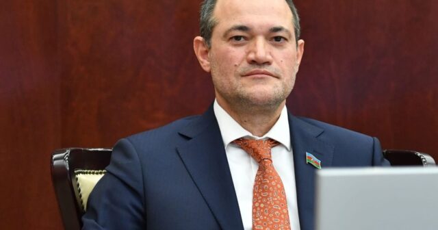 Deputatdan bir ailənin qətliamına reaksiya: Psixi xəstə gərək…