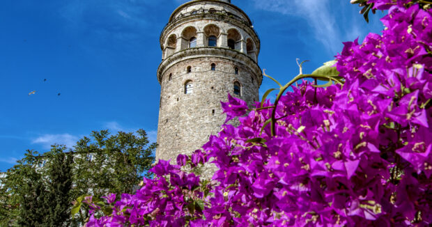 İstanbulda baharın rənglərindən zövq alın