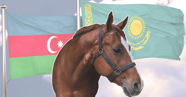 Diri atı 340 manata Qazaxıstana satıb, kiloqramı 2,9 manata Qazaxıstandan at əti alırıq – Rəsmi