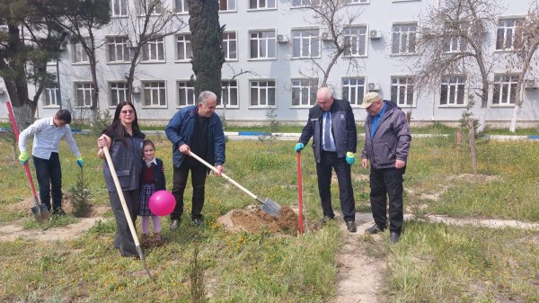 Ekoloqlar internat məktəbinin şagirdləri ilə ağacəkmə aksiyası keçirdi (FOTOLAR)