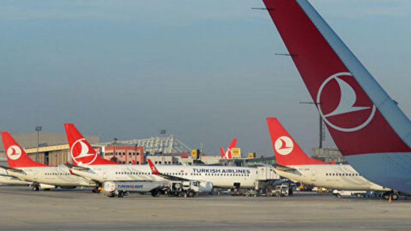 “Türk Hava Yolları”nın Azərbaycan Nümayəndəliyi məhkəməlik oldu