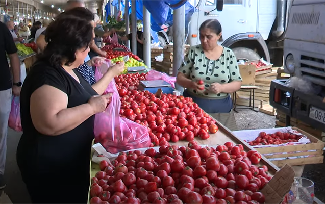 Yayın istisində 3 manata pomidor olar? – Video