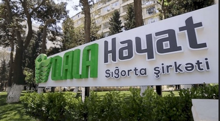 “Qala Həyat” enişdə: Biznes itkiləri 1 milyon manata yaxınlaşır