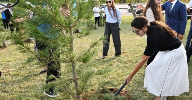 Mehriban Əliyevanın iştirakı ilə “Gənclik” parkında ağacəkmə aksiyası keçirildi – FOTO