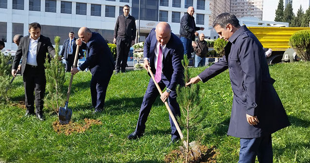 Nəsimidə ağacəkmə aksiyası davam edir – Fotolar