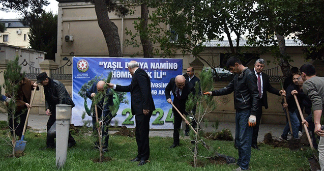 Nəsimidə ağacəkmə aksiyası keçirildi – Fotolar