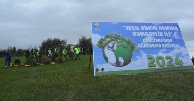 Xətaiddə “Yaşıl dünya naminə həmrəylik ili” çərçivəsində ağacəkmə aksiyasına start verilib