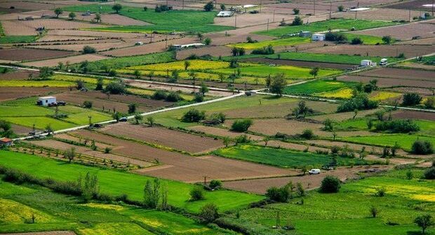 Azərbaycanda bu şəxslərə güzəştlə torpaqlar veriləcək – Yeni qanun qəbul edildi