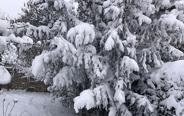 Dağlarda 14° şaxta var – Fotolar