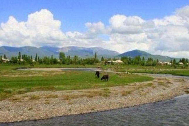 Bakıda 1 sot torpaq 200 min manata satılır