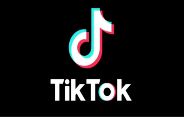 TikTok Novruz bayramı münasibəti ilə onlayn festivala başlayır