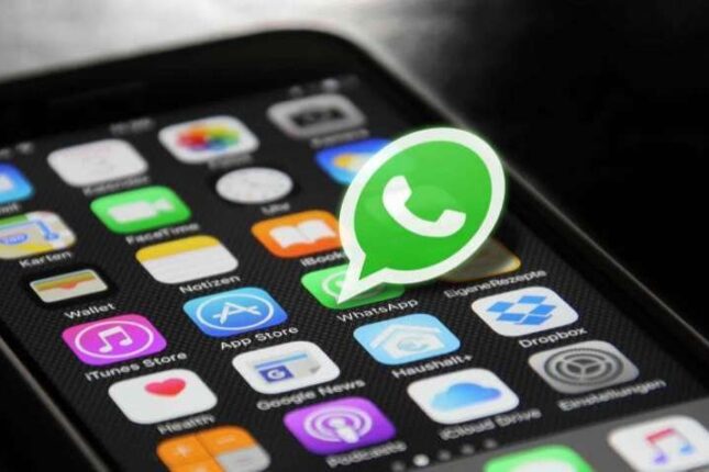 Video zənglərdə yenilik – ​“WhatsApp” görüntünü dəyişdi