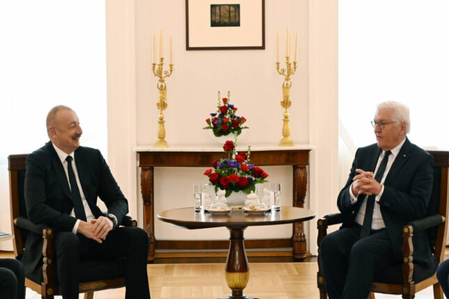 Azərbaycan və Almaniya prezidentlərinin təkbətək görüşü başlayıb