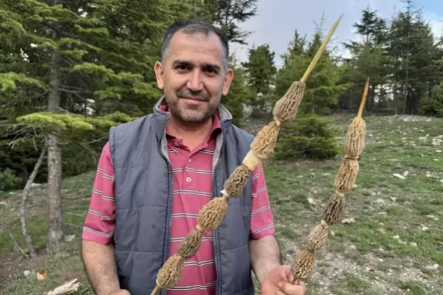 Kilosu 40 manata satılır – Bütün kənd bura axın edir