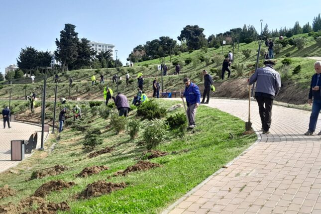 Xətai rayonunda iməclik aksiyası keçirildi – FOTOLAR