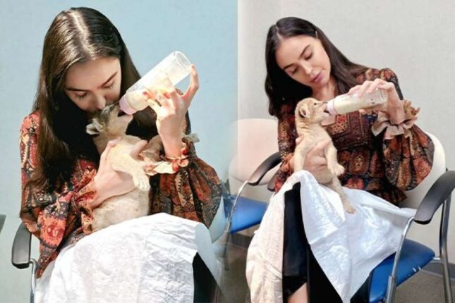 Leyla Əliyevanın şir balası ilə maraqlı GÖRÜNTÜLƏRİ