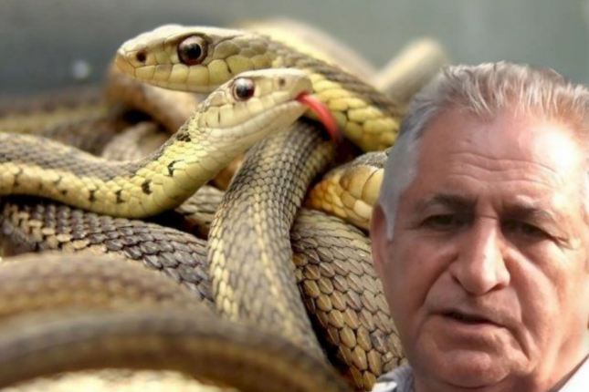 Ölkədə güclü ilan hücumu başladı – ƏHALİYƏ XƏBƏRDARLIQ: “Bu səhvi ƏSLA ETMƏYİN”