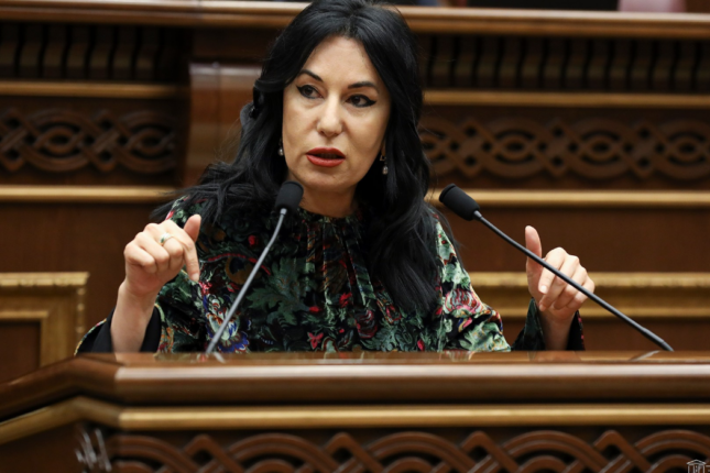 Zöhrabyan: “Dəhlizi türk şirkətləri qoruyacaq”