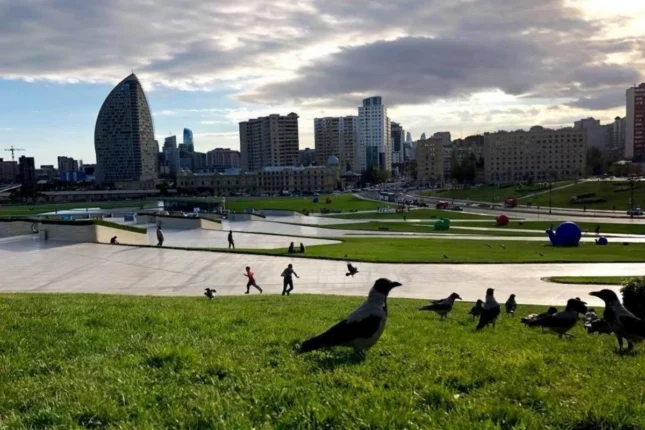 Sabahın hava proqnozu açıqlandı